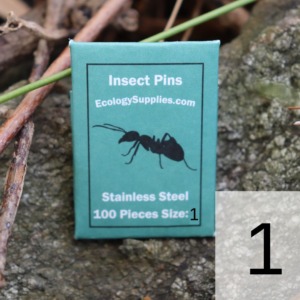 Ecology Supplies Insect Pins