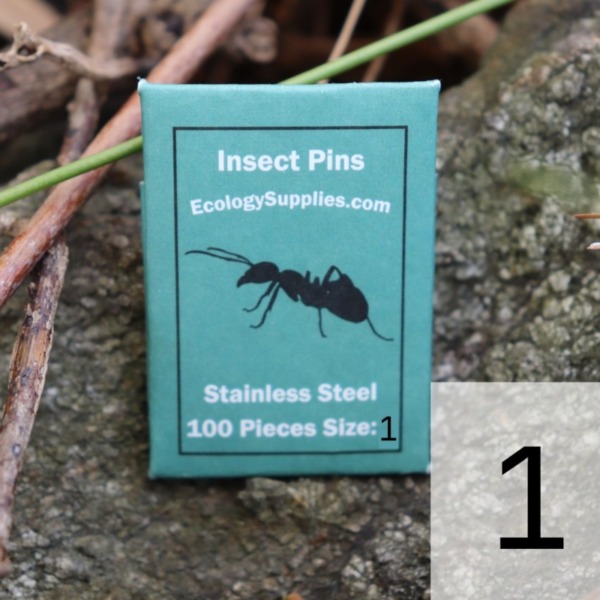 ES Pin Bundle Ecology Supplies Insect Pins