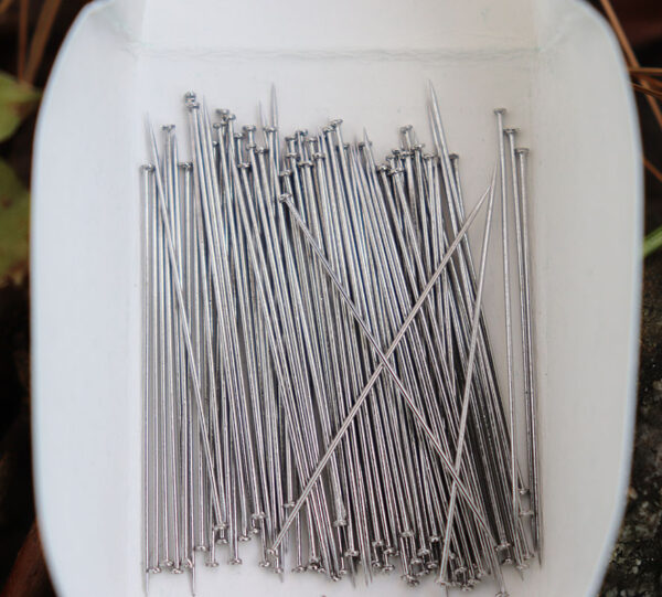 Ecology Supplies Insect Pins Ecology Supplies