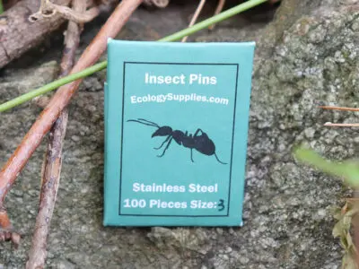 Ecology Supplies Insect Pins