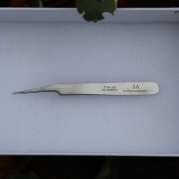 Swiss Forceps