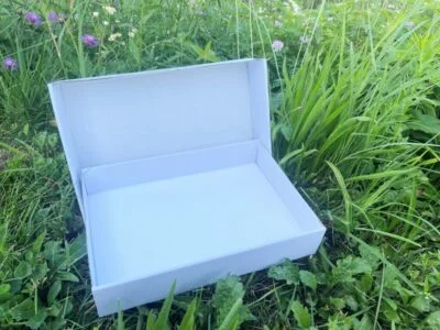 Folding Insect Storage Box