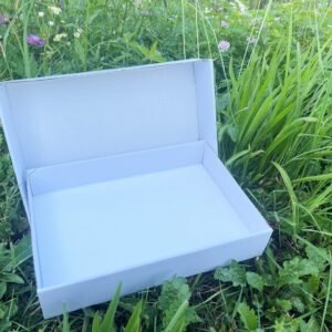 Folding Insect Storage Box