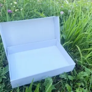 Folding Insect Storage Box