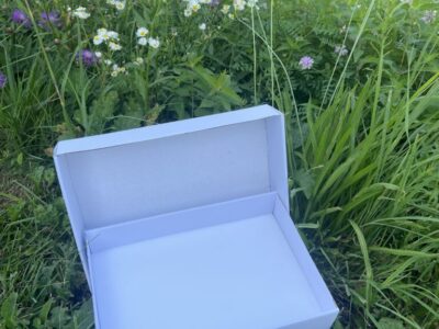 Folding Insect Storage Box