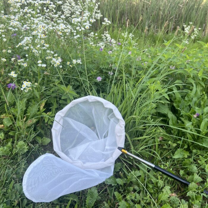 Insect Net Telescopic 12 Inch