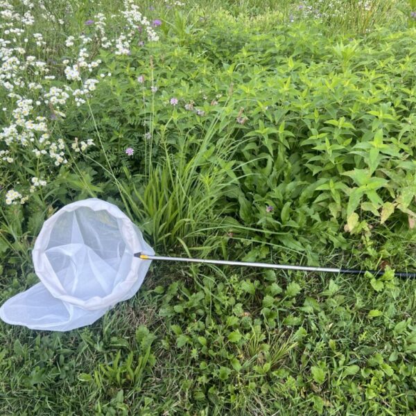 Butterfly Insect Net Telescopic 12 Inch