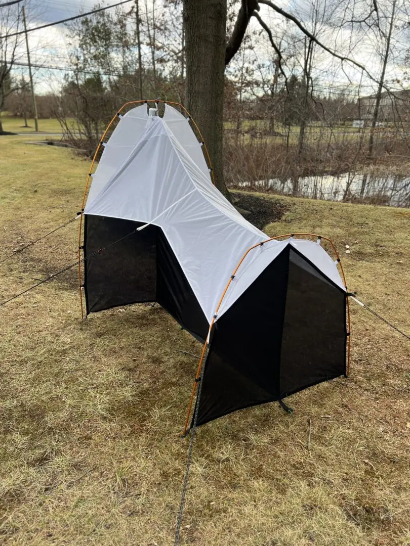 Malaise Trap Townes Style - Image 3