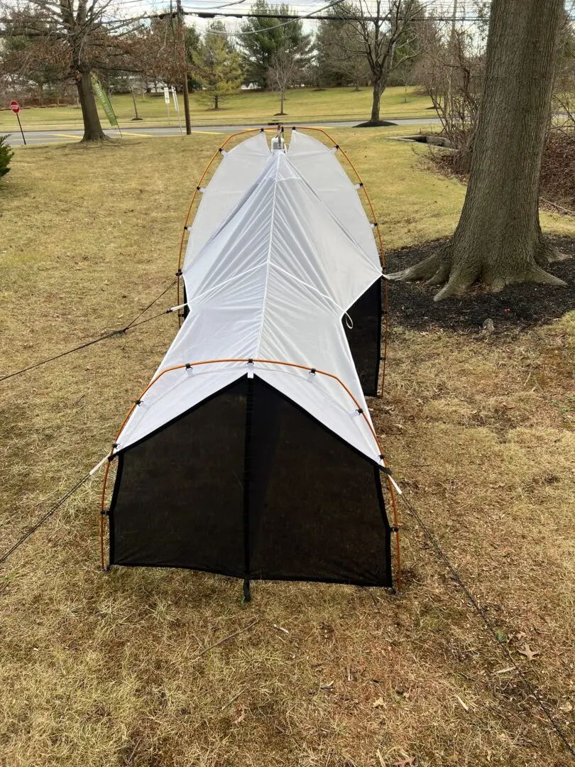 Malaise Trap Townes Style - Image 4