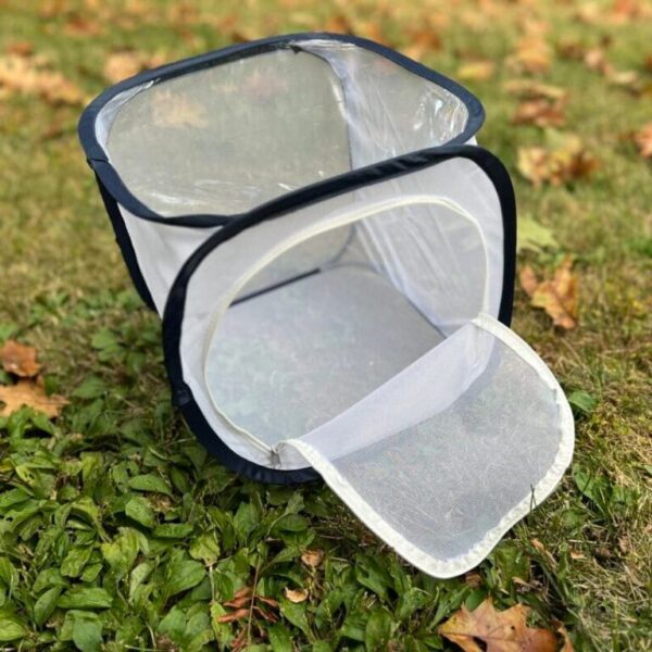 Pop Up Rearing Cages