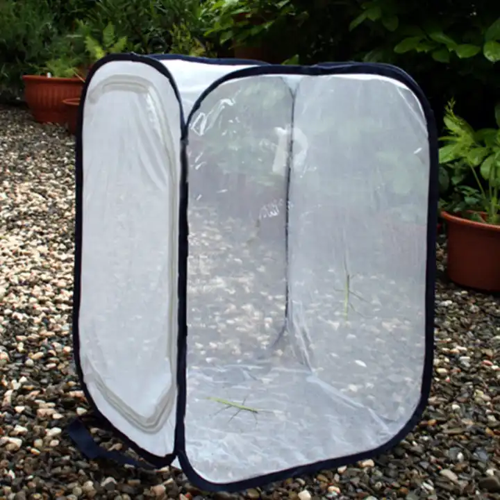 Pop Up Rearing Cages - Ecology Supplies