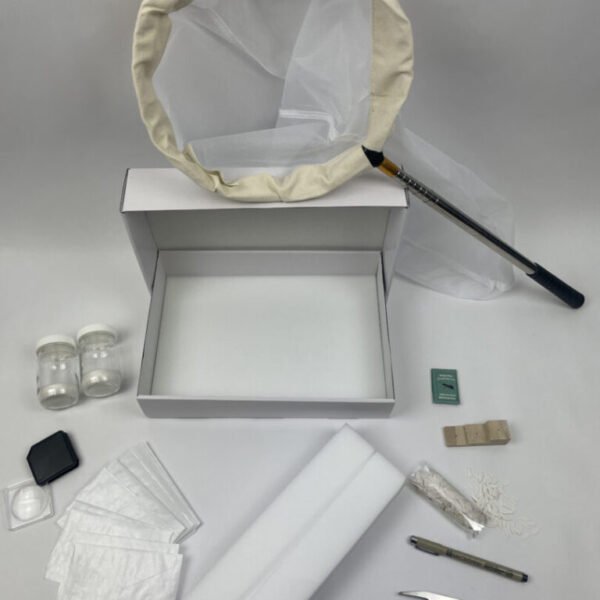 Student Insect Collection Kit