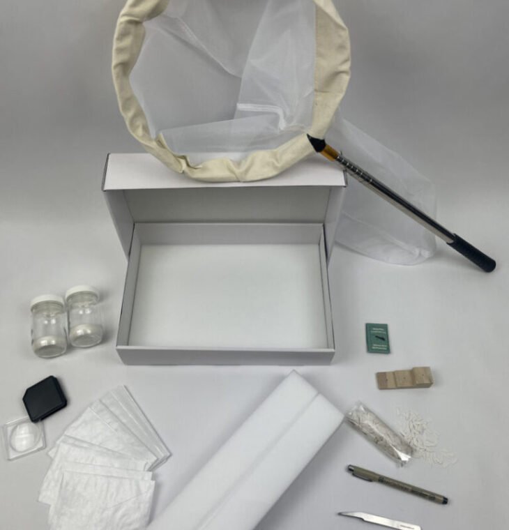 Student Insect Collection Kit