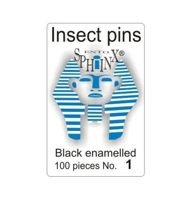 Ento Sphinx Insect Pins