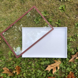 Insect Display Box Bird's Eye View