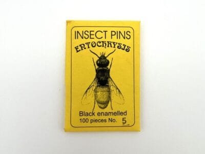 Entochrysis Black Enamel Insect Pins