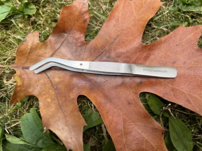 Pinning Forcep Bird's Eye View