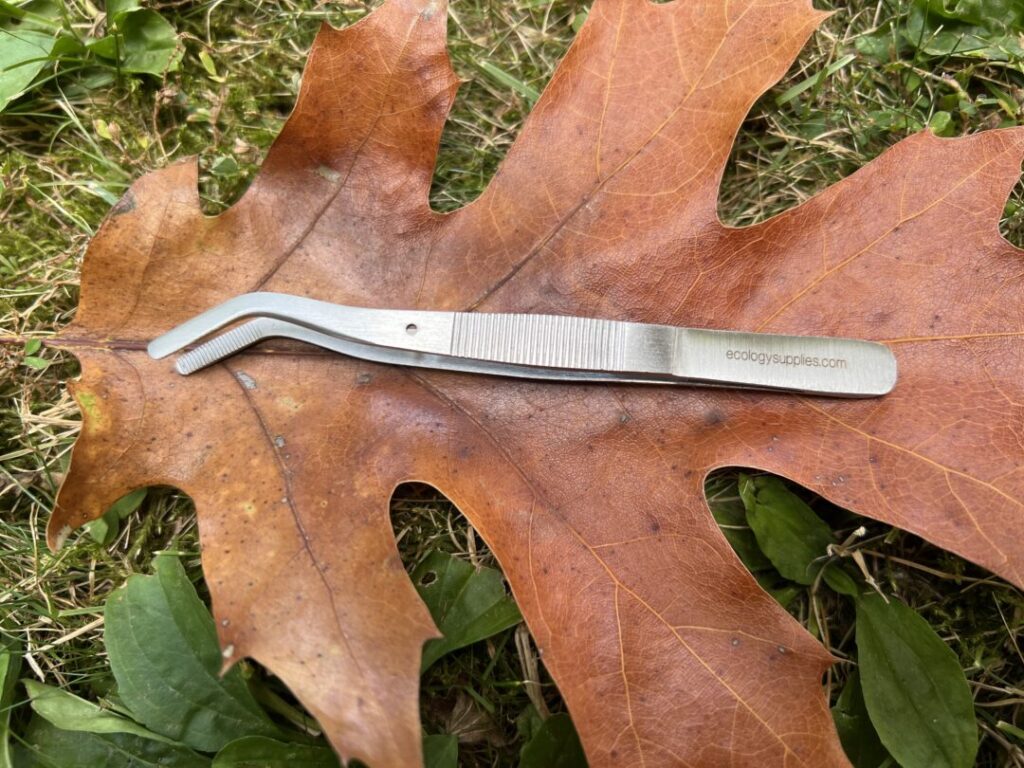 Pinning Forcep