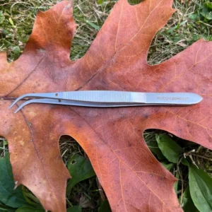Curved Tip Forcep