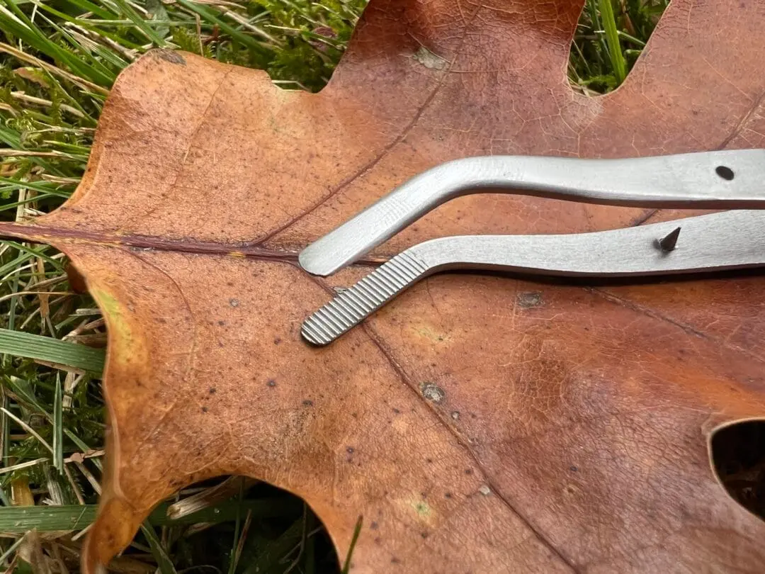 Pinning Forcep