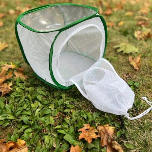 Pop Up Rearing Cages