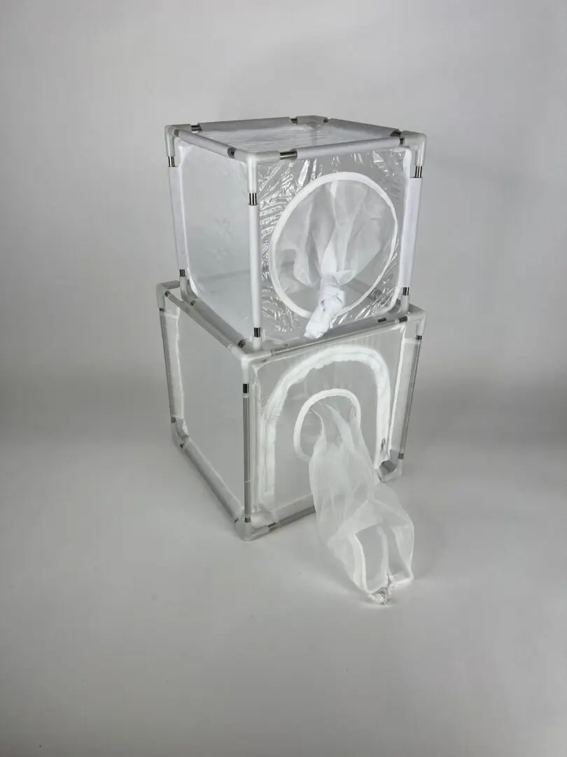 Insect Rearing Cage - Ecology Supplies