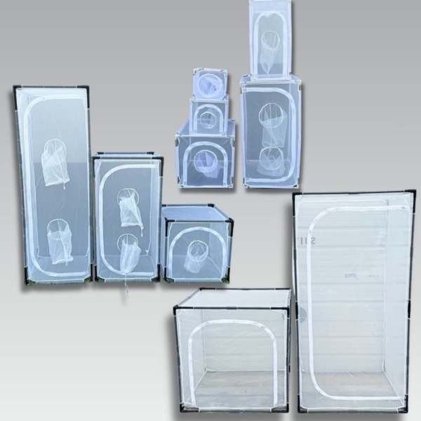 Insect Rearing Cage
