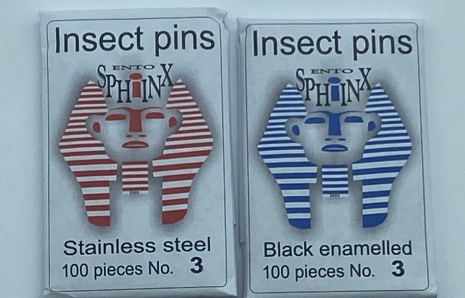 Ento Sphinx Insect Pins