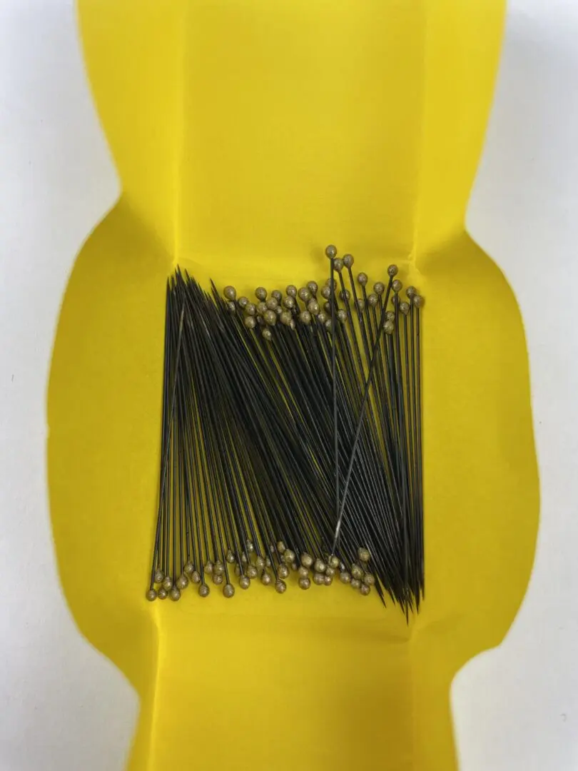 Entochrysis Black Enamel Insect Pins - Image 2