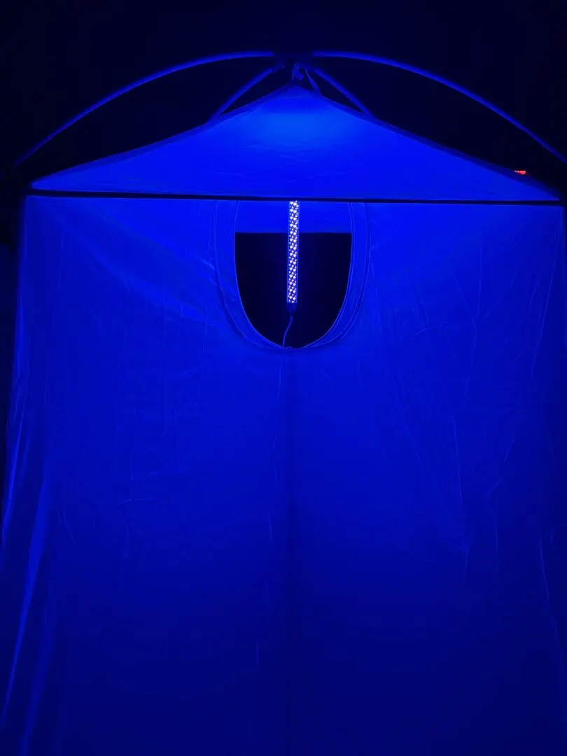 LED Blacklight - UV Light for Insect Collection - Image 8
