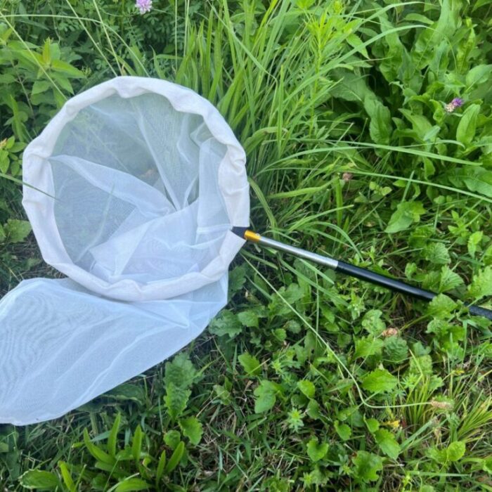 Telescopic Insect Net