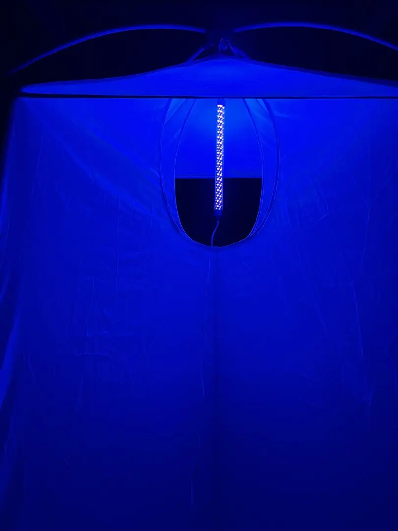 LED Blacklight - UV Light for Insect Collection - Image 9