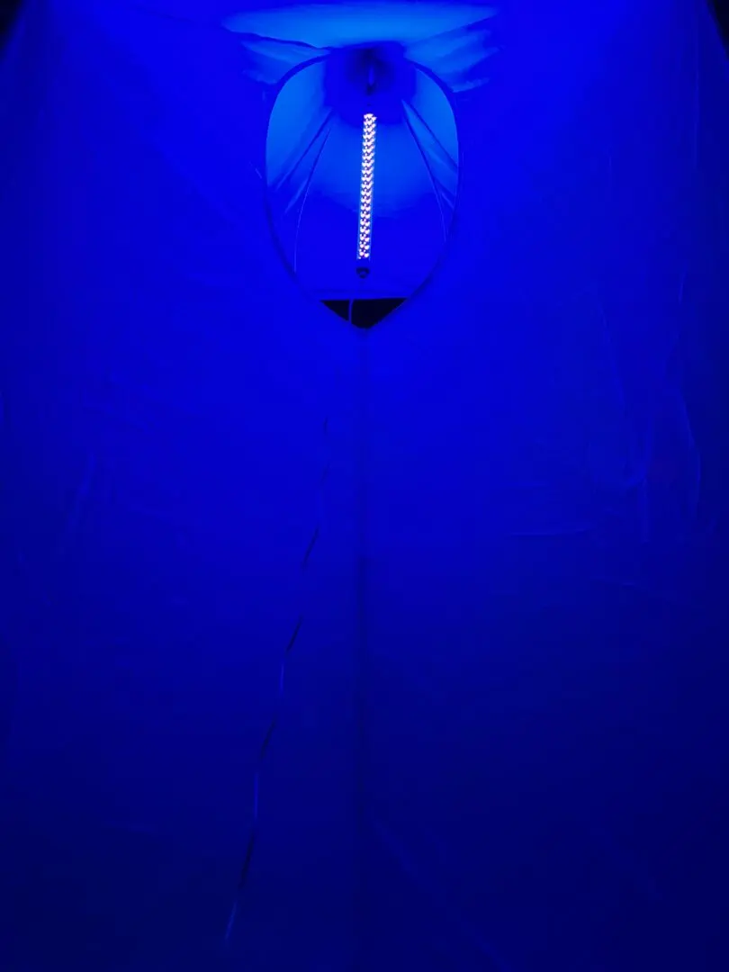LED Blacklight - UV Light for Insect Collection - Image 7