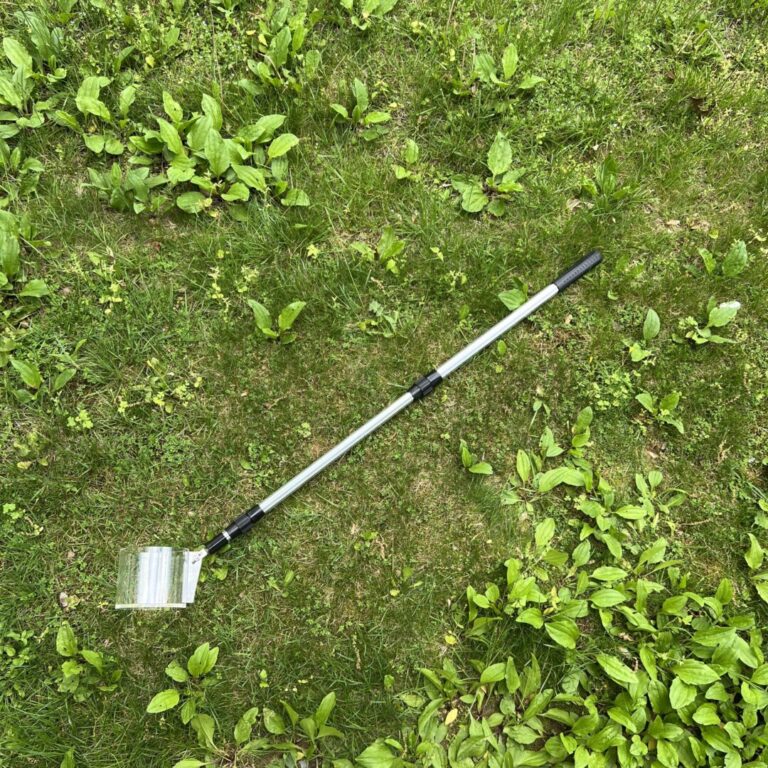 Larvae Dipper - Image 4