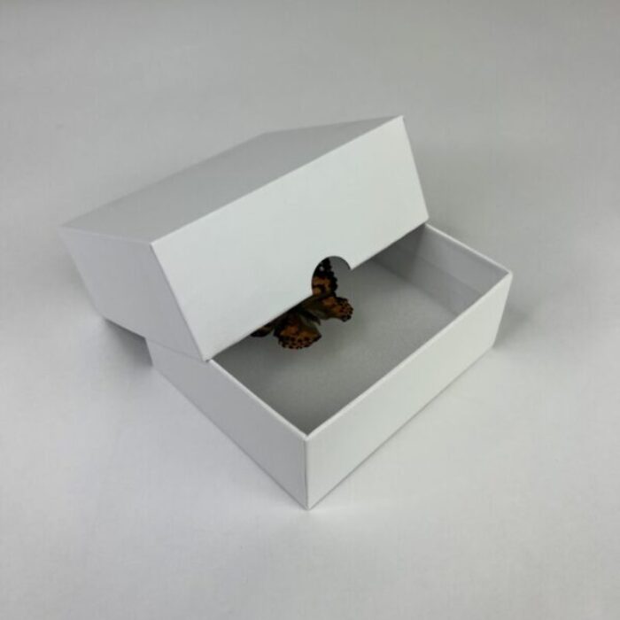Insect Specimen Mailer