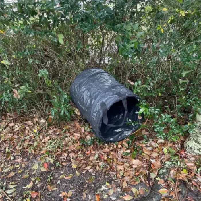 Resting Trap for Collecting Resting Mosquitoes