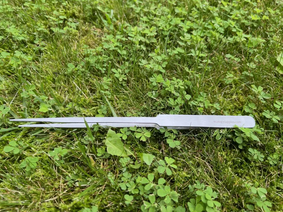Extra Long Specimen Forceps - Image 2