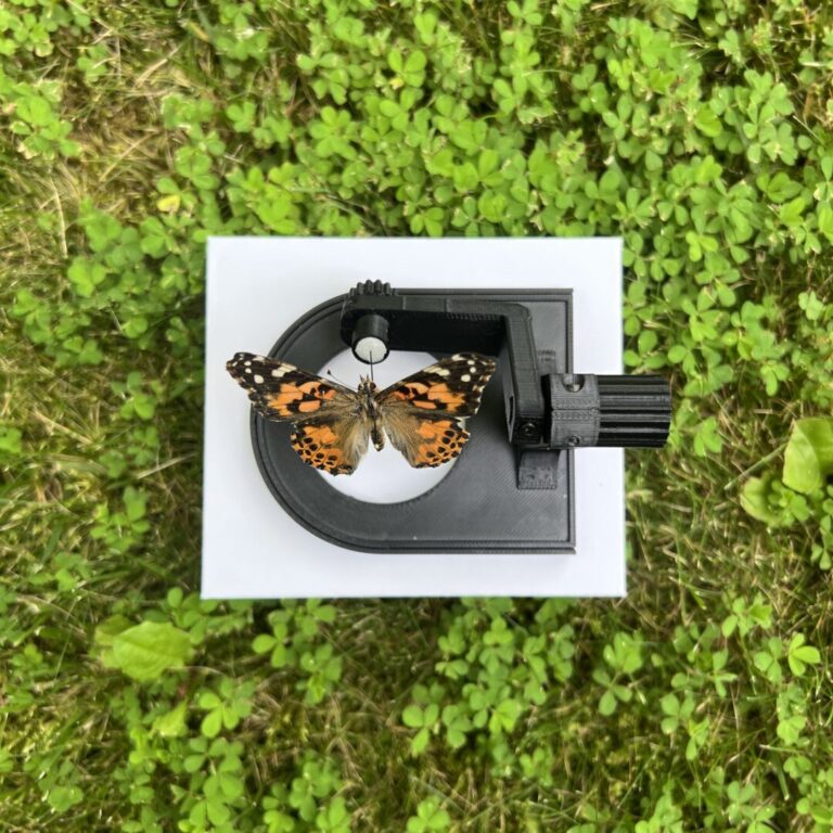 Pinned Insect Manipulator (Specimen Manipulator) - Image 2