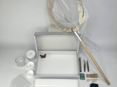 Student Insect Collection Kit