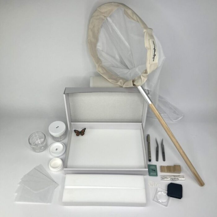 Student Insect Collection Kit
