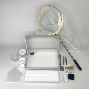 Student Insect Collection Kit