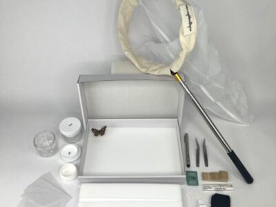 Student Insect Collection Kit
