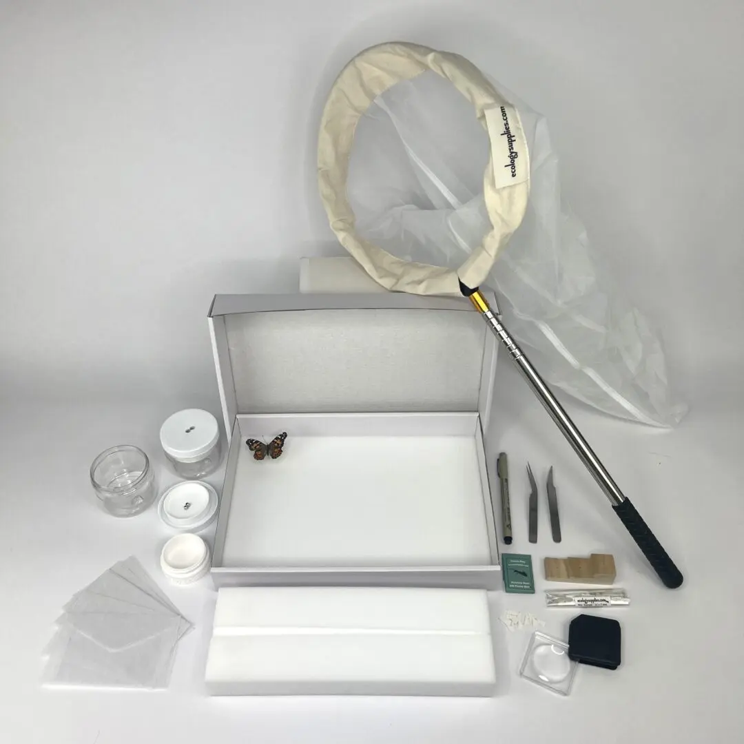 Student Insect Collection Kit