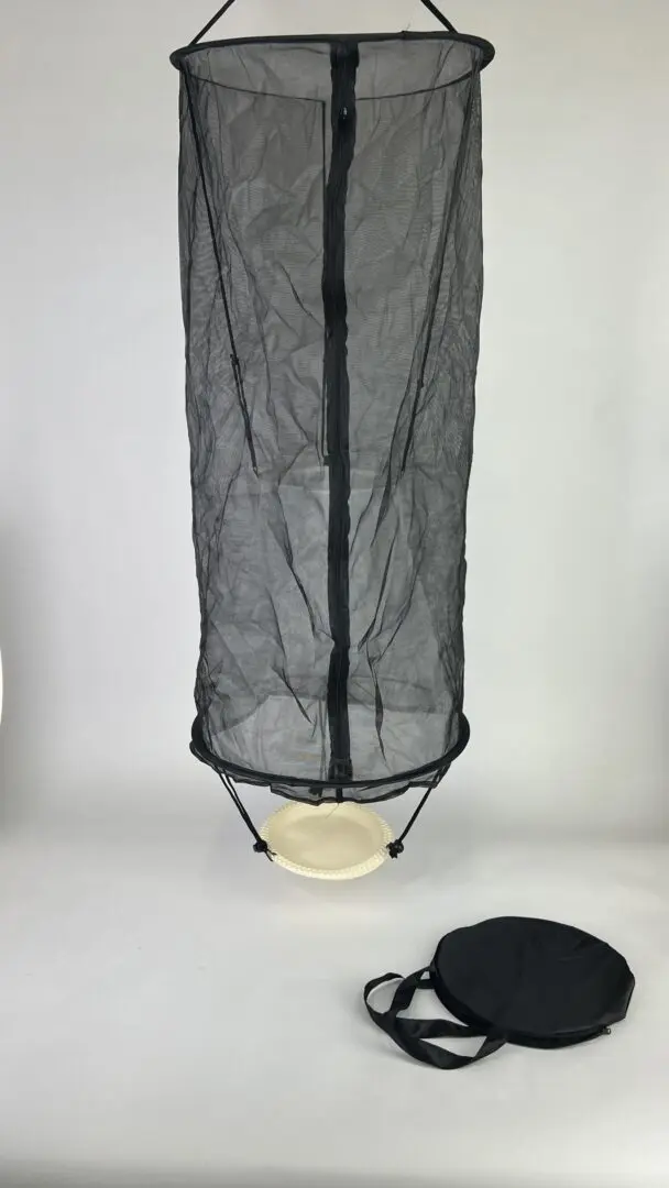 Butterfly Trap - Image 2