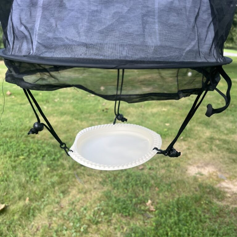 Butterfly Trap - Image 8