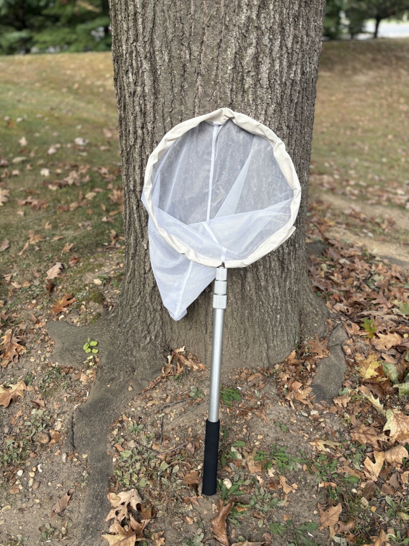Pro Telescopic Insect Net