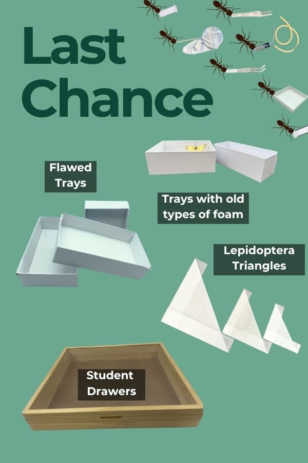Last Chance-longer Last Chance-longer