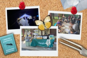 Scrapbook_EntoQuest 2025 - 1
