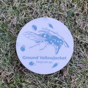 The Dispersers Stickers - 3 inch Circles - Wasp 2