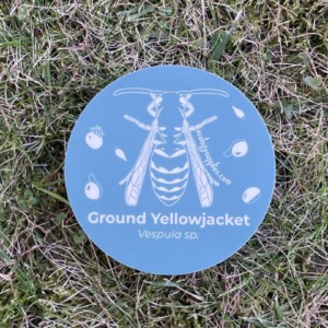 The Dispersers Stickers - 3 inch Circles - Wasp 1